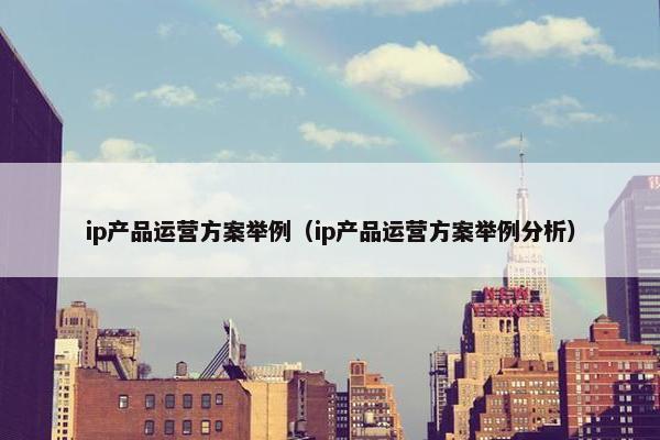 ip产品运营方案举例（ip产品运营方案举例分析）