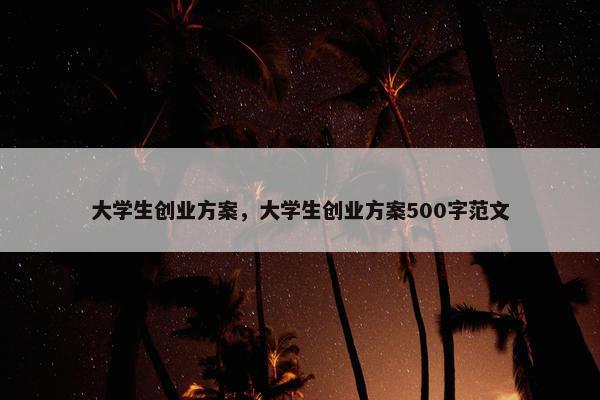 大学生创业方案，大学生创业方案500字范文