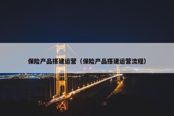 保险产品搭建运营（保险产品搭建运营流程）