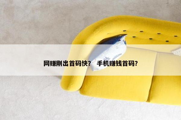 网赚刚出首码快？ 手机赚钱首码？