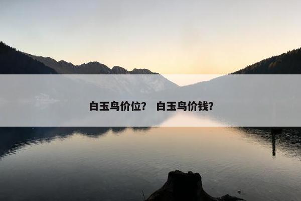 白玉鸟价位？ 白玉鸟价钱？