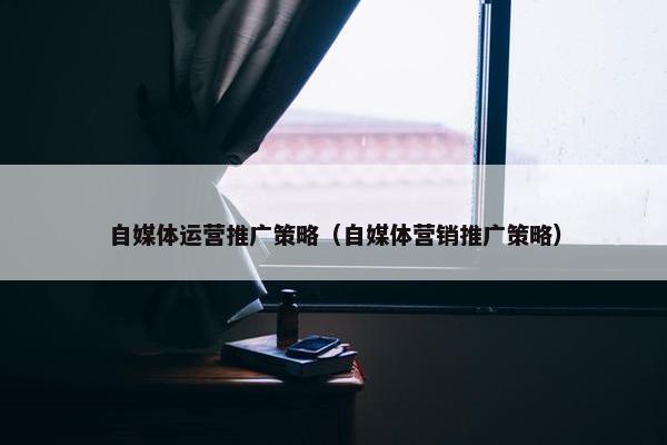 自媒体运营推广策略（自媒体营销推广策略）