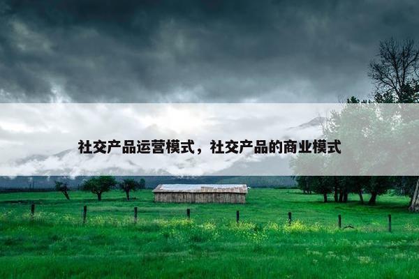 社交产品运营模式，社交产品的商业模式