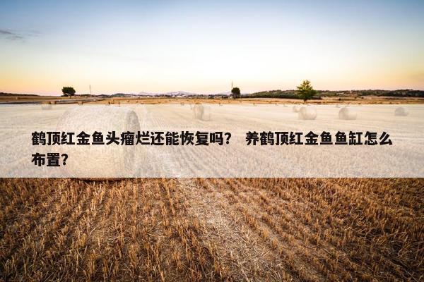 鹤顶红金鱼头瘤烂还能恢复吗？ 养鹤顶红金鱼鱼缸怎么布置？