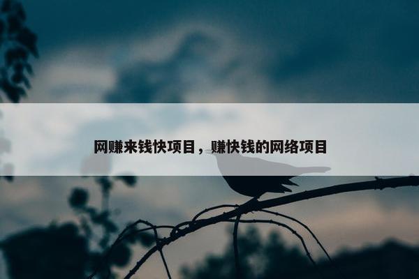 网赚来钱快项目，赚快钱的网络项目