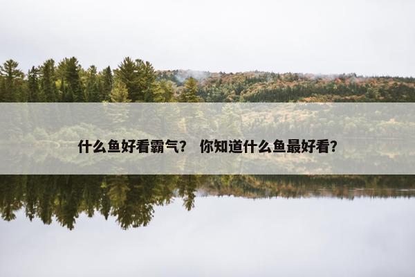 什么鱼好看霸气？ 你知道什么鱼最好看？