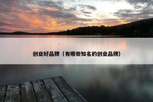 创业好品牌（有哪些知名的创业品牌）