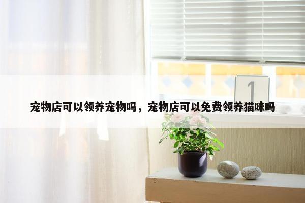 宠物店可以领养宠物吗，宠物店可以免费领养猫咪吗