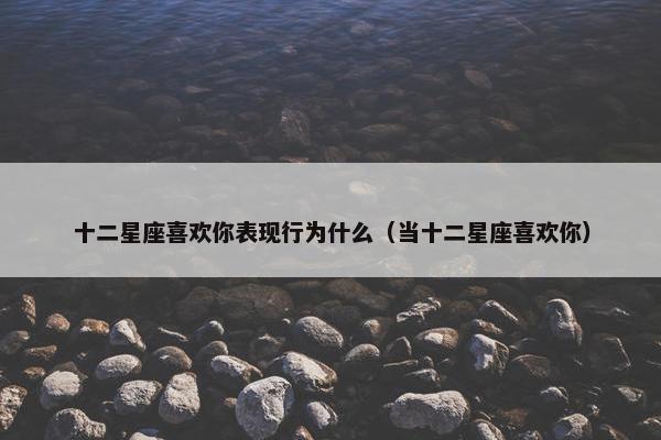 十二星座喜欢你表现行为什么（当十二星座喜欢你）