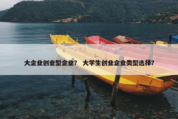 大企业创业型企业？ 大学生创业企业类型选择？
