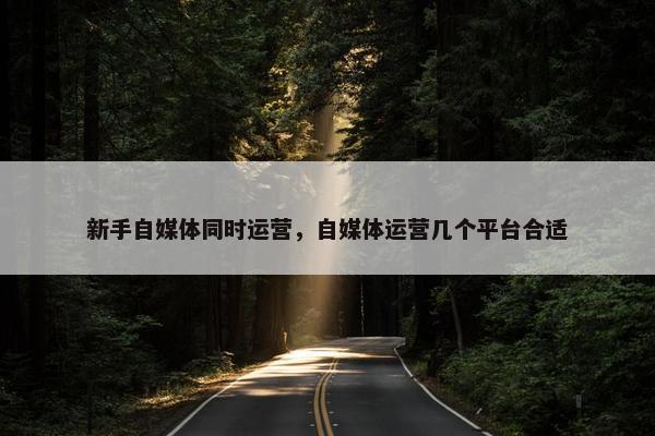 新手自媒体同时运营，自媒体运营几个平台合适