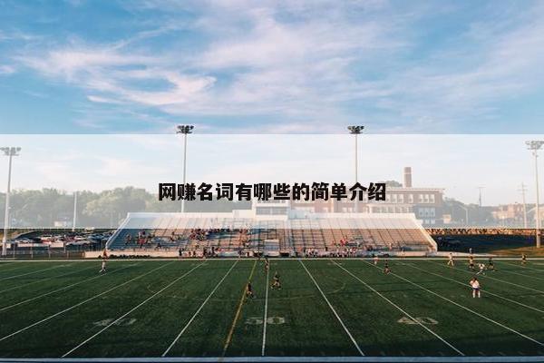 网赚名词有哪些的简单介绍