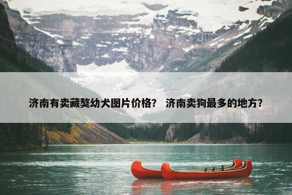 济南有卖藏獒幼犬图片价格？ 济南卖狗最多的地方？