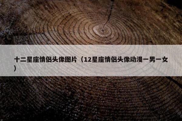 十二星座情侣头像图片（12星座情侣头像动漫一男一女）