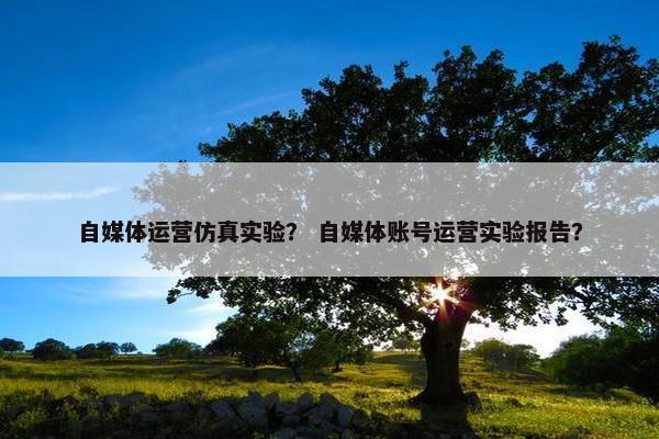 自媒体运营仿真实验？ 自媒体账号运营实验报告？