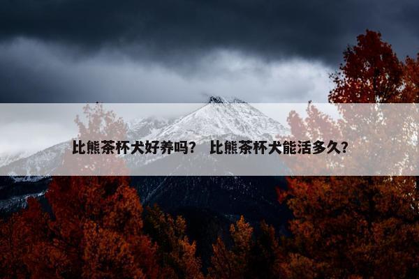 比熊茶杯犬好养吗？ 比熊茶杯犬能活多久？