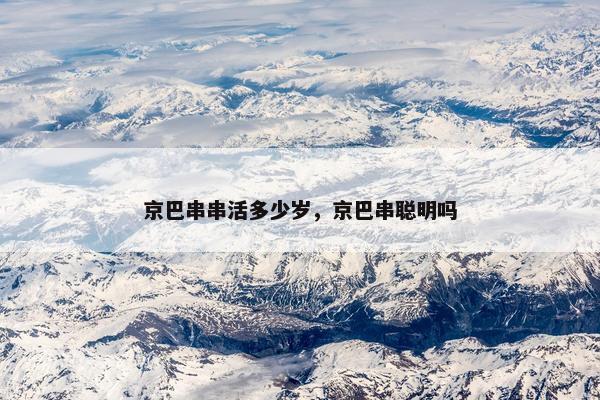 京巴串串活多少岁，京巴串聪明吗