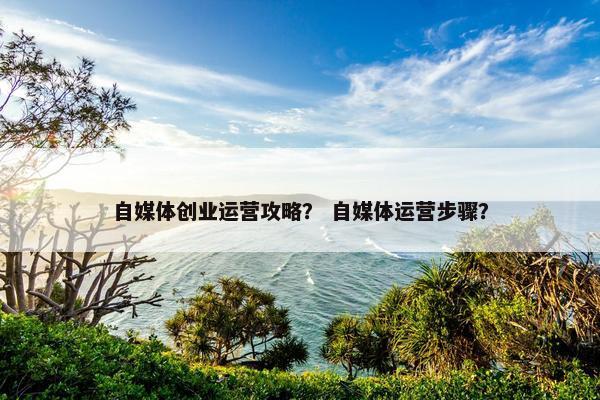自媒体创业运营攻略？ 自媒体运营步骤？