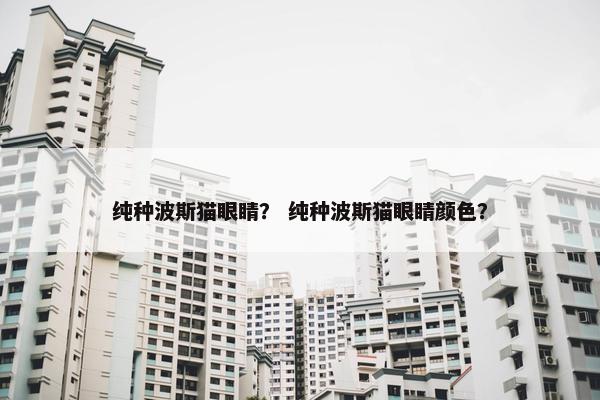 纯种波斯猫眼睛？ 纯种波斯猫眼睛颜色？