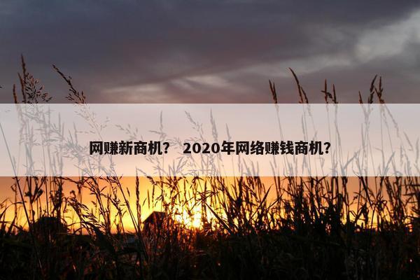 网赚新商机？ 2020年网络赚钱商机？