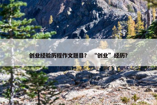创业经验历程作文题目？ “创业”经历？
