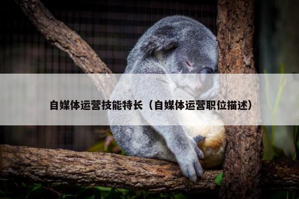 自媒体运营技能特长（自媒体运营职位描述）