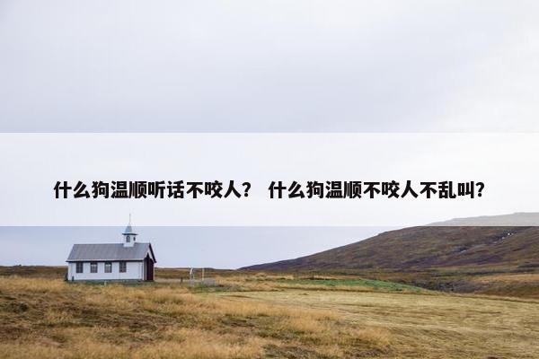 什么狗温顺听话不咬人？ 什么狗温顺不咬人不乱叫？