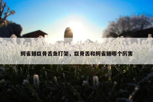 鳄雀鳝巨骨舌鱼打架，巨骨舌和鳄雀鳝哪个厉害