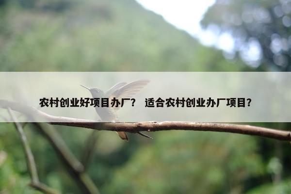农村创业好项目办厂？ 适合农村创业办厂项目？