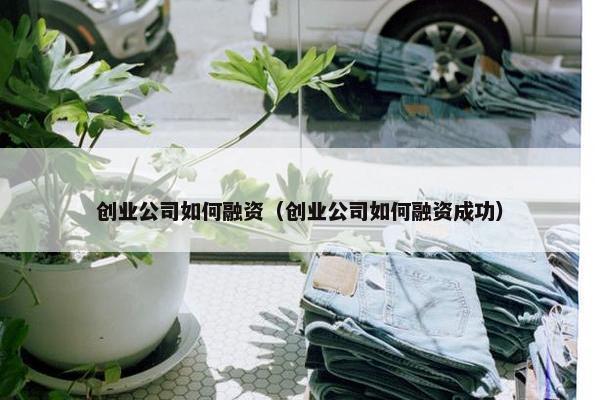 创业公司如何融资（创业公司如何融资成功）