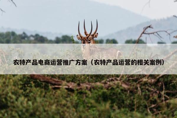 农特产品电商运营推广方案（农特产品运营的相关案例）