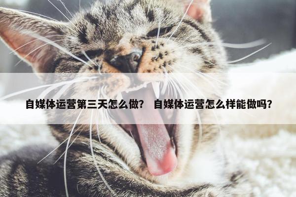 自媒体运营第三天怎么做？ 自媒体运营怎么样能做吗？