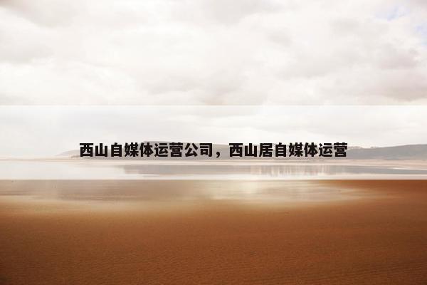 西山自媒体运营公司，西山居自媒体运营