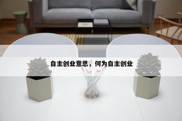自主创业意思，何为自主创业