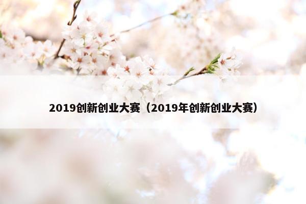 2019创新创业大赛（2019年创新创业大赛）
