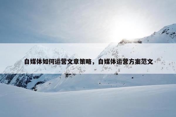 自媒体如何运营文章策略，自媒体运营方案范文