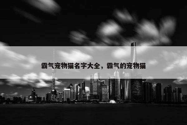霸气宠物猫名字大全，霸气的宠物猫