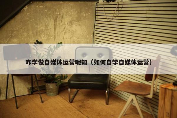 咋学做自媒体运营呢知（如何自学自媒体运营）