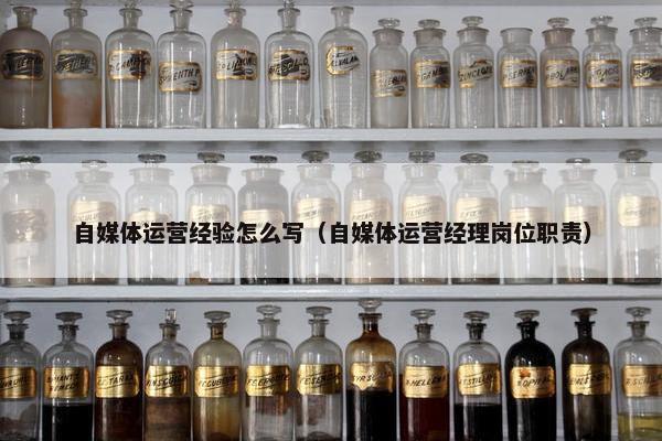 自媒体运营经验怎么写（自媒体运营经理岗位职责）