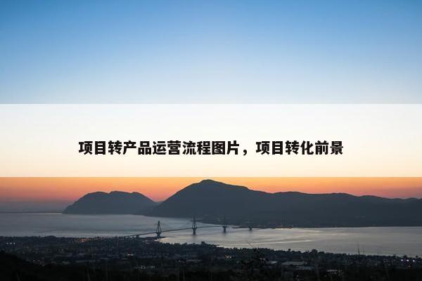 项目转产品运营流程图片，项目转化前景