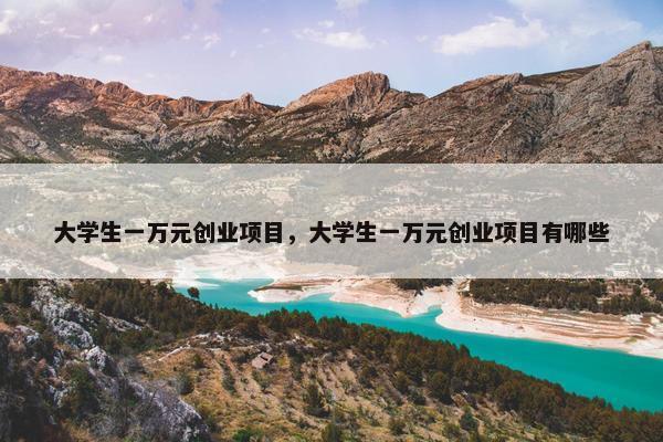 大学生一万元创业项目，大学生一万元创业项目有哪些