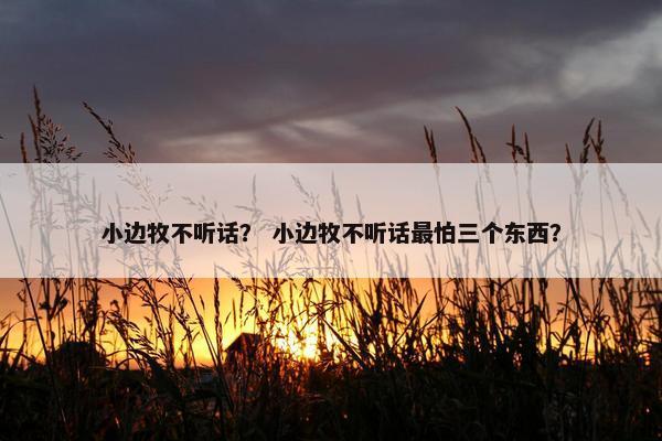 小边牧不听话？ 小边牧不听话最怕三个东西？