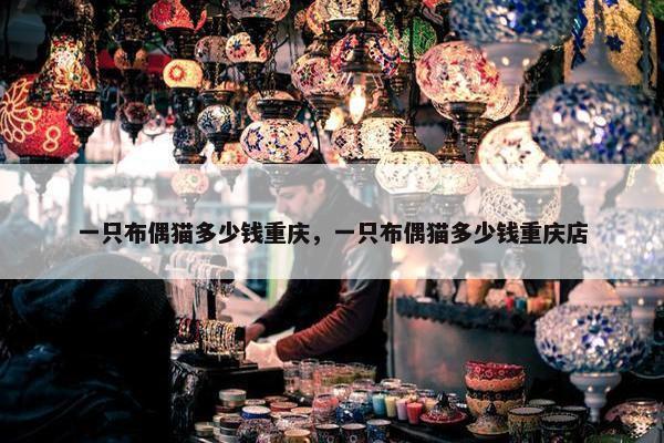 一只布偶猫多少钱重庆，一只布偶猫多少钱重庆店