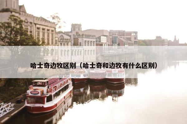 哈士奇边牧区别（哈士奇和边牧有什么区别）