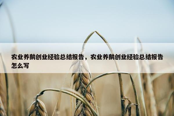 农业养鹅创业经验总结报告，农业养鹅创业经验总结报告怎么写