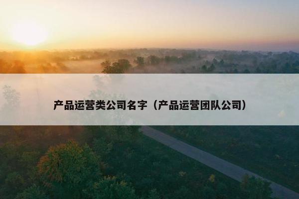 产品运营类公司名字（产品运营团队公司）