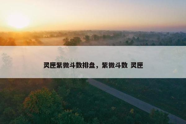 灵匣紫微斗数排盘，紫微斗数 灵匣