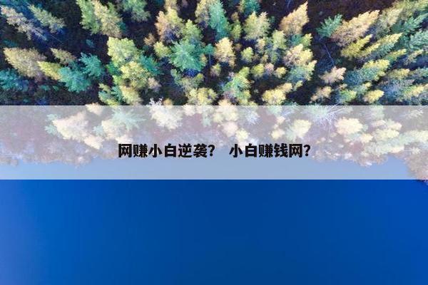 网赚小白逆袭？ 小白赚钱网？