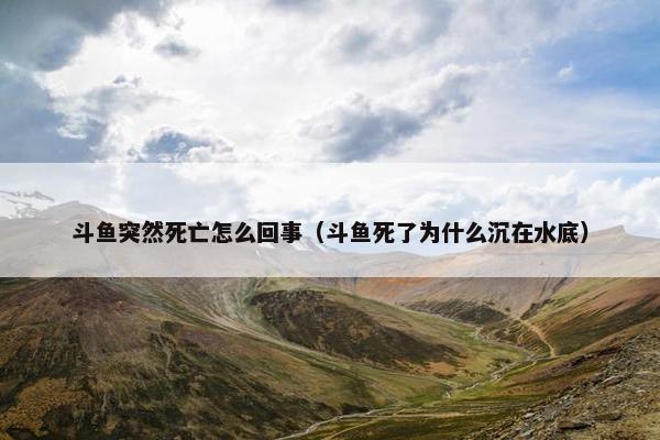 斗鱼突然死亡怎么回事（斗鱼死了为什么沉在水底）