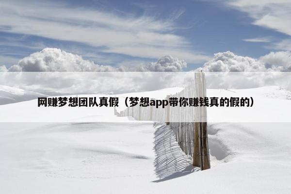 网赚梦想团队真假（梦想app带你赚钱真的假的）